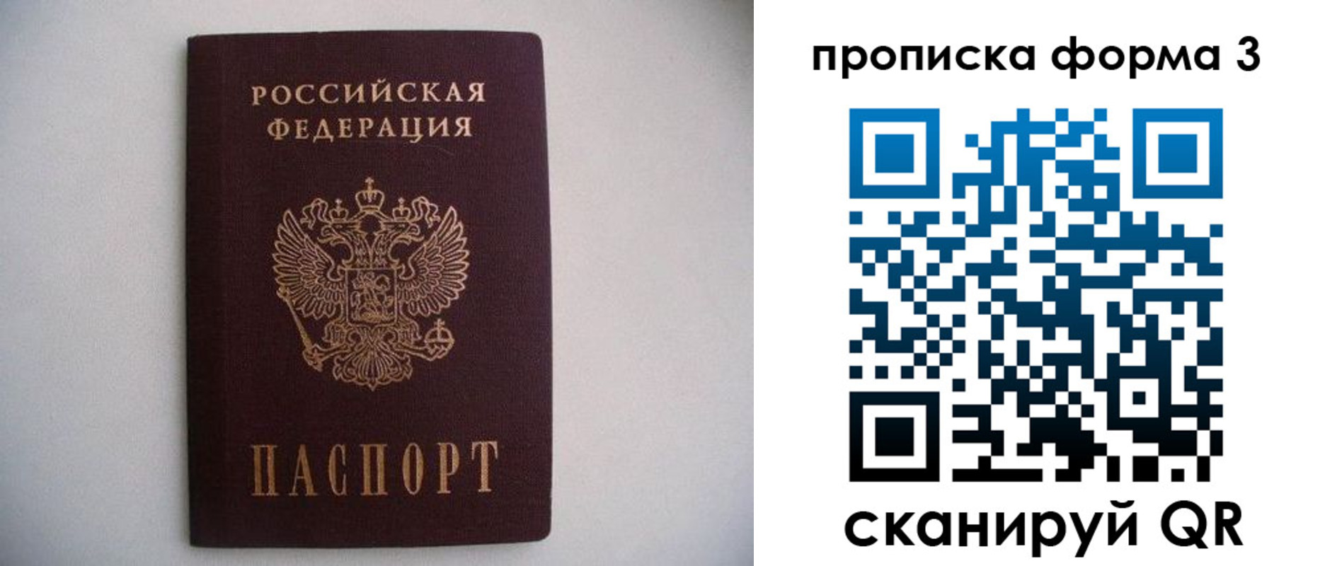 прописка в Дятьково